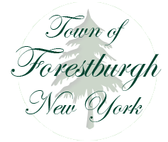 Town of Forestburgh