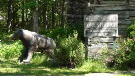 Town of Forestburgh NY